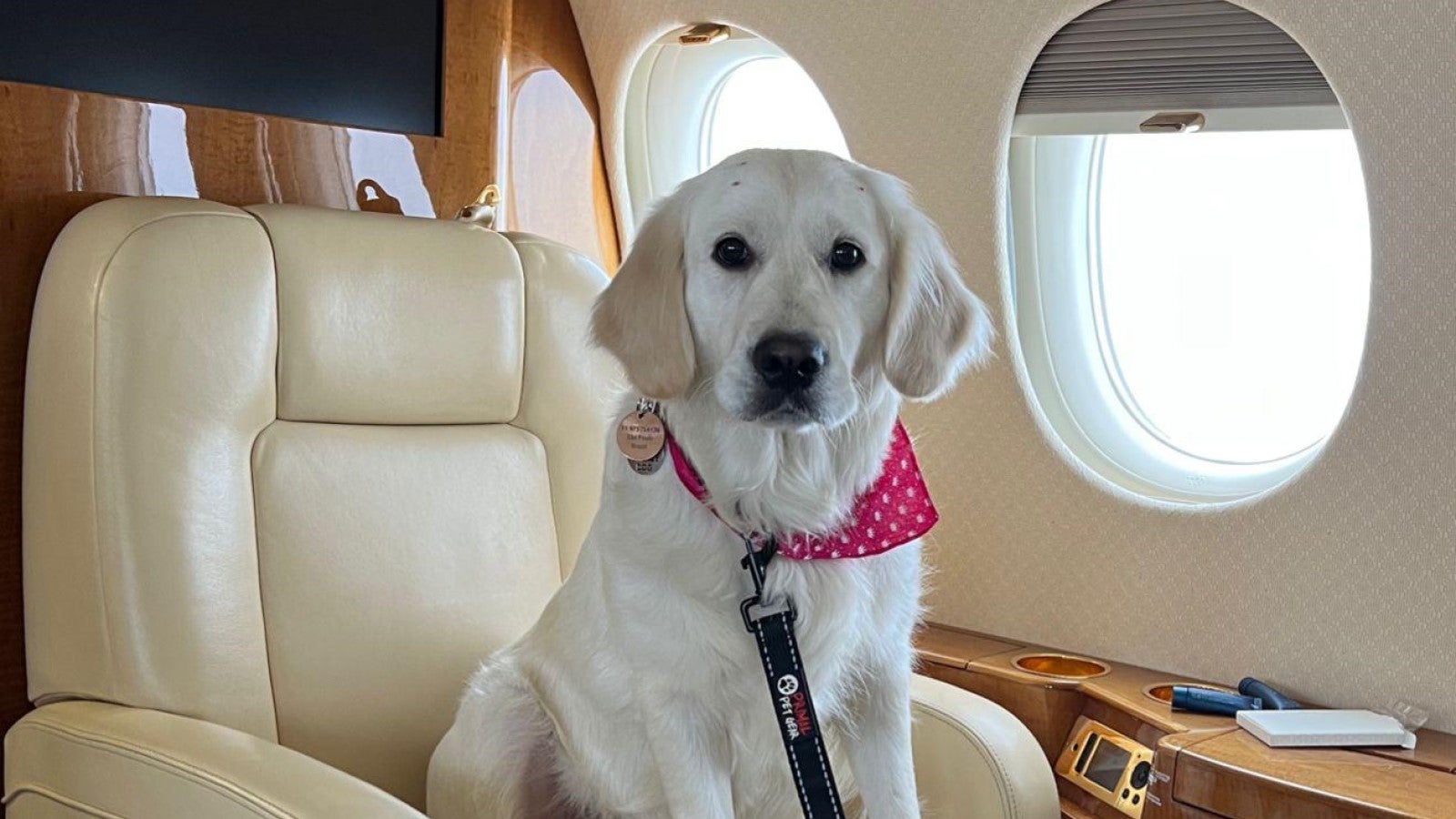 Dassault Falcon 8X Interior