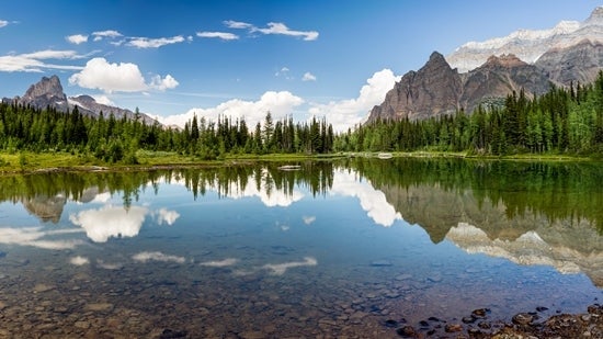 class=responsive-img-banner__desktop