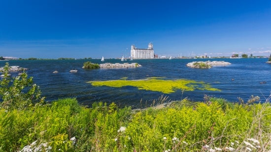 class=responsive-img-banner__desktop